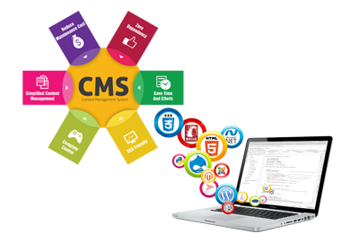 cms web development