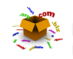 domain Hosting