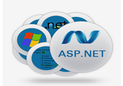 dot net website development