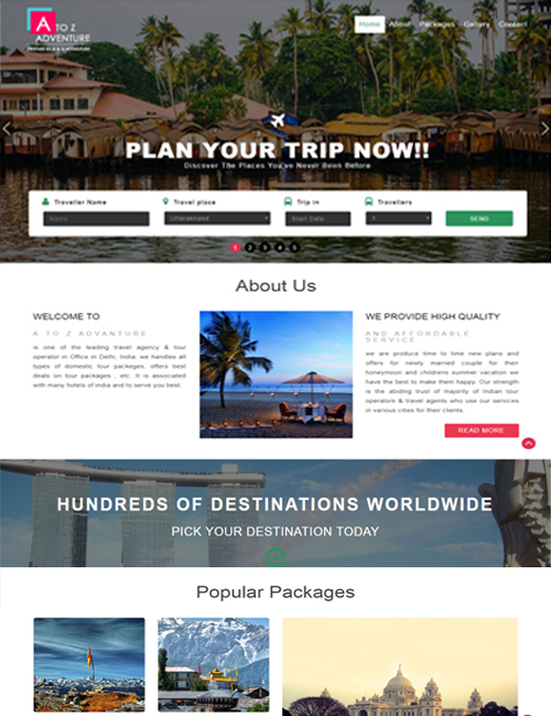 website designing in delhi