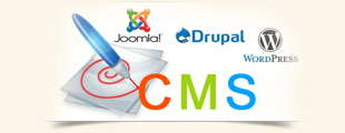 cms web development