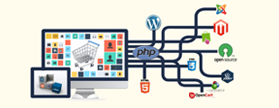 Web Portal Development