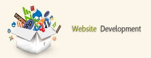 website development